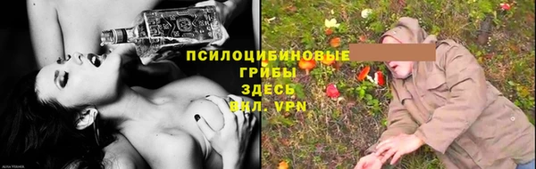 крисы Алексеевка
