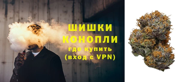 дурь Алзамай