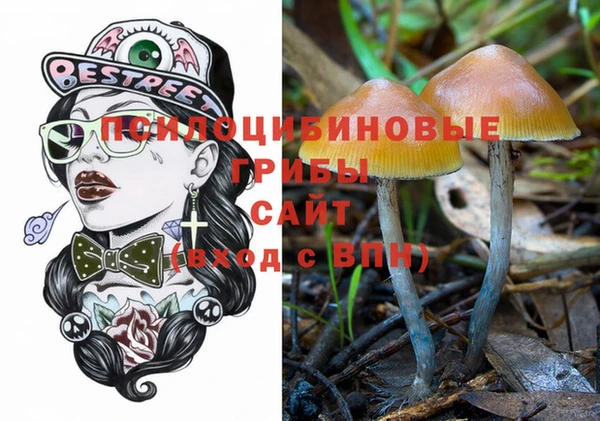 герыч Алексин